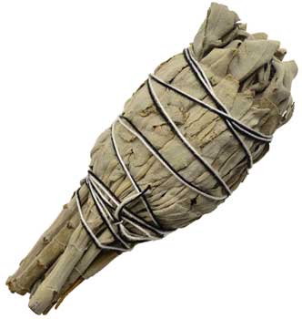 (image for) California White Sage smudge 4"