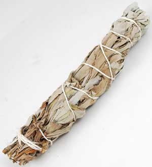 (image for) White Sage smudge 5-6"