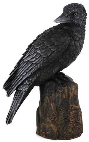 (image for) Raven back 6"